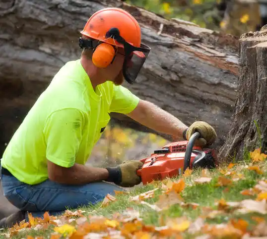 tree services Moonachie